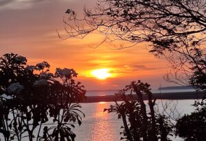 Am Amazonas